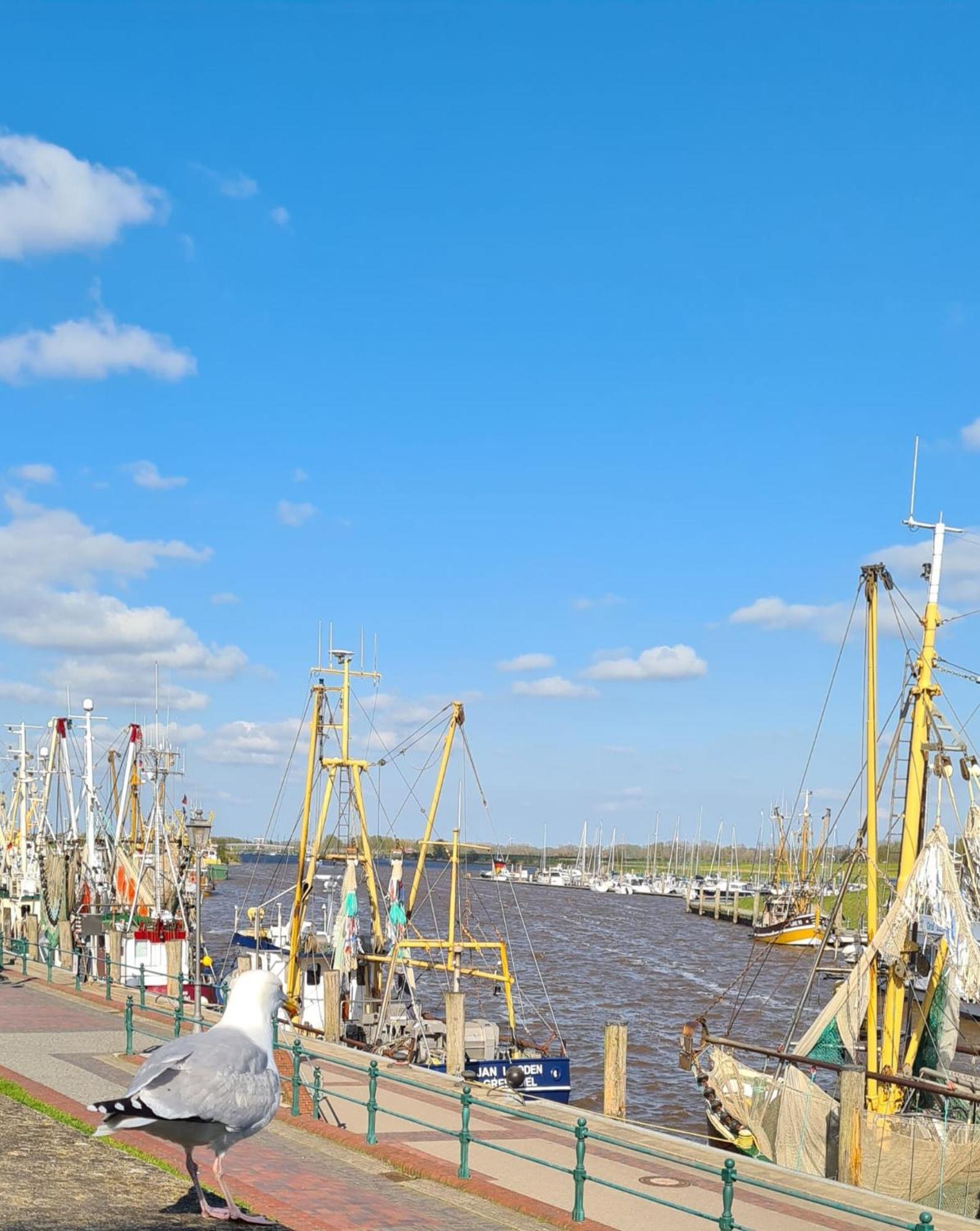 Ferienhaus Nordseeglueck Im Ferienpark Berumbur Luaran gambar